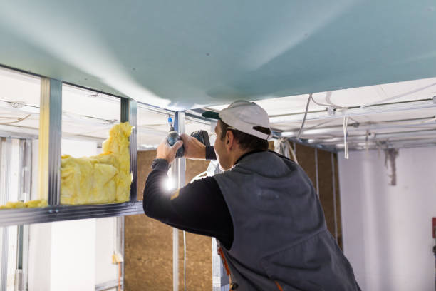 Best Attic Insulation Installation  in Dobson, NC