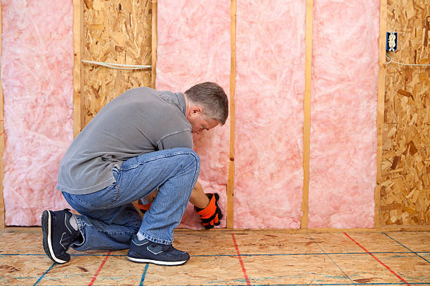 Best Insulation Inspection Services  in Dobson, NC